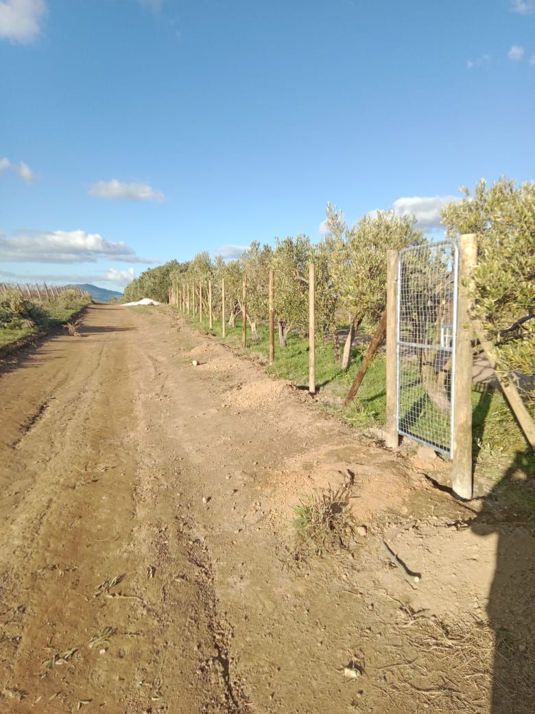 Weld mesh fence and pedestrian gate along a farm road outside Caledon