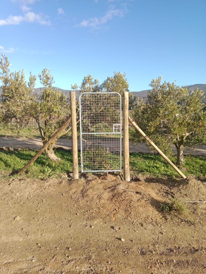 Pedestrian gate in 50 × 50mm weld mesh on a Caledon farm
